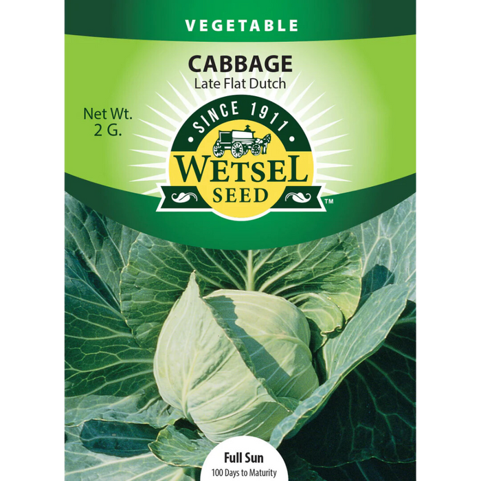 Cabbage - Early Flat Dutch - 2g Packet