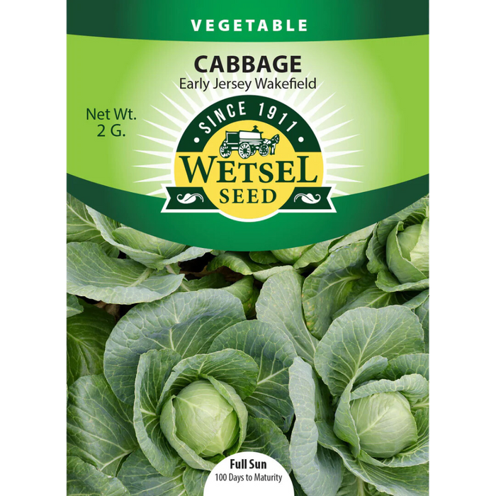 Cabbage - Early Jersey Wakefield - 2g Packet