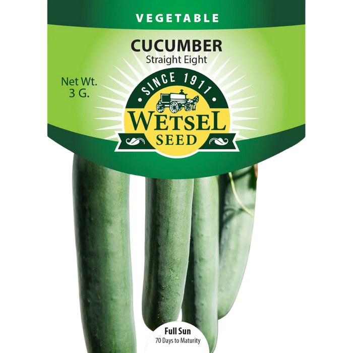 Cucumber - Straight Eight - 3g Packet