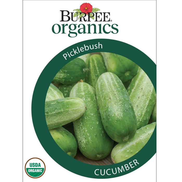 Cucumber - White Spine - 3g Packet