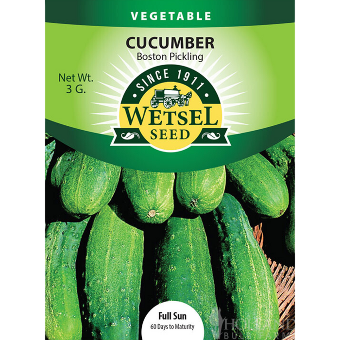 Cucumber - Boston Pickling - 3g Packet