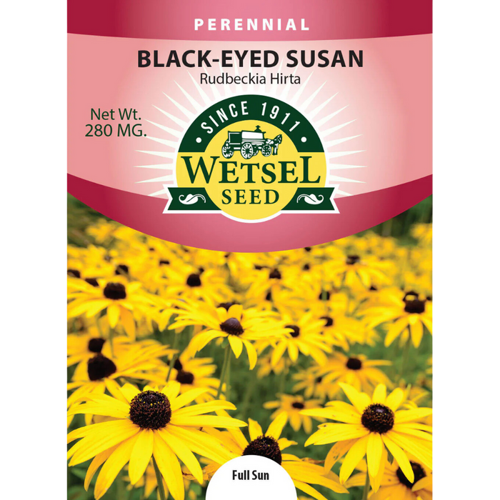 Daisy (Rudbeckia Hirta) Black Eyed Susan - 280mg Packet